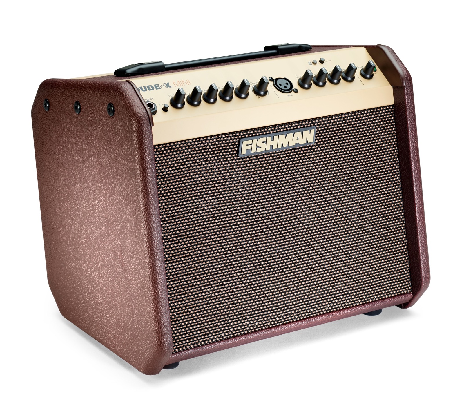 Fishman Loudbox Mini Acoustic Guitar Amplifier With Bluetooth
